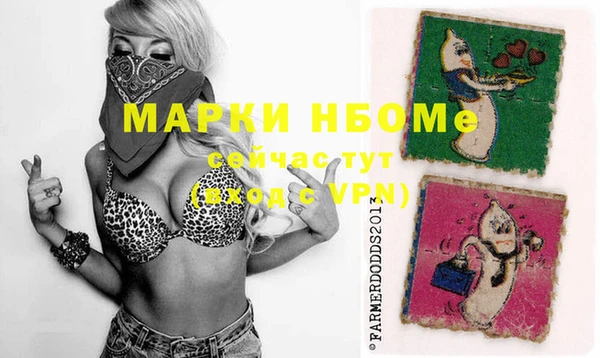 молекула духа Протвино