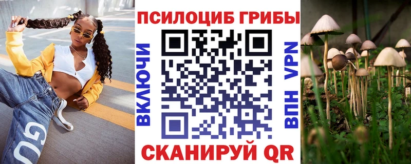 где купить наркоту Малмыж Псилоцибиновые грибы GOLDEN TEACHER